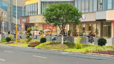 【盘点2024·通城这一年】通城县城管执法局：精细管理靓市容 绘就城市“新画卷”