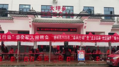 视频-通城：“春风行动”送岗下乡 岗位直达群众家门