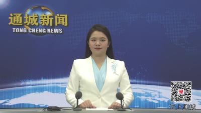 视频-通城县开展2025年春节集中慰问活动 