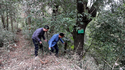 湖北药姑山省级自然保护区：巡山护林保生态  防火宣传入民心