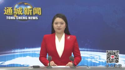 视频-【聚焦两会】通城：人大代表集中视察城区建设和企业发展情况 