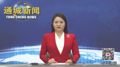 视频-【聚焦两会】凝心聚力促发展！人大代表热议政府工作报告 