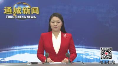 视频-【聚焦两会】通城县政协委员参观城区建设和企业发展情况 