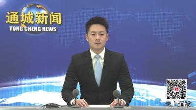 视频-市侨联来通城开展走访慰问活动