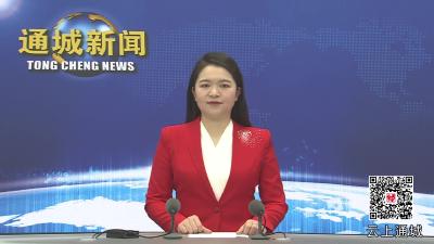 视频-杨修伟到麦市镇走访慰问困难群众 