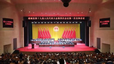 视频-【聚焦通城两会】2025年通城经济社会发展主要预期目标