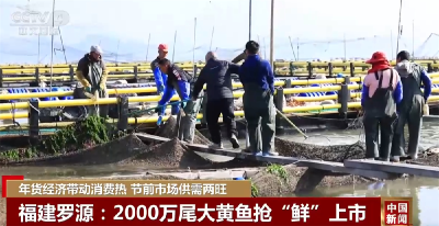 “年货经济”带动消费火热人气旺 节前市场琳琅满目年味足