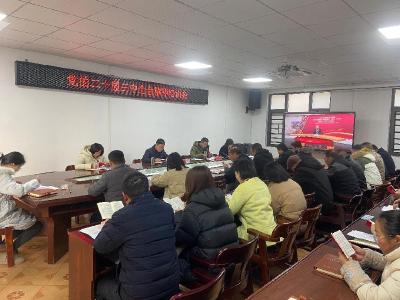 通城县沙堆镇举办学习党的二十届三中全会精神培训会