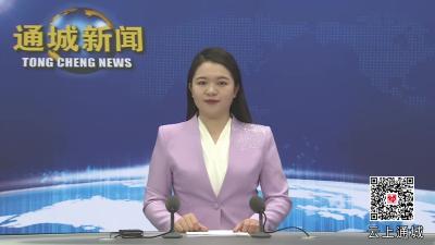 视频-【政府工作报告解读④】小田并大田：适度规模经营的通城实践 