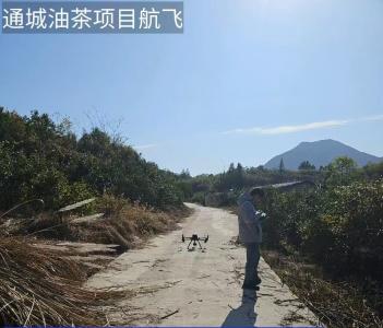 通城县塘湖镇无人机航测精准统计油茶面积