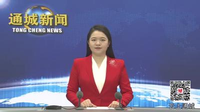 视频-大年初一，杨修伟看望慰问一线工作人员 