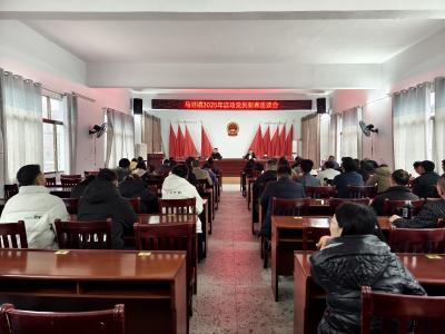 通城县马港镇召开流动党员新春座谈会