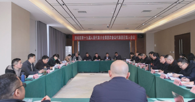【聚焦两会】通城县第十九届人民代表大会第四次会议召开代表团召集人会议