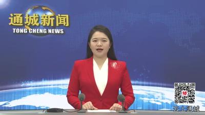 视频-【盘点2024·通城这一年】通城：多方聚力 织牢未成年人保护网 
