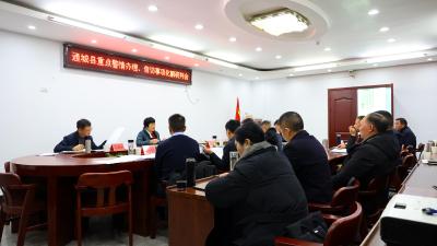 通城县召开重点警情办理和信访事项化解研讨会