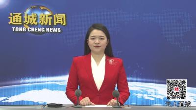视频-通城县举办“民族团结一家亲 同心共度幸福年”主题活动 