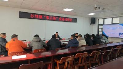 通城县沙堆镇举办“数公基”业务培训会，助力数字化发展