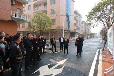 【聚焦两会】通城：人大代表集中视察城区建设和企业发展情况
