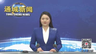 视频-【政府工作报告解读⑦】通城：不断优化服务模式 持续建设一流营商环境 