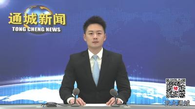 视频-通城县召开大健康产业新闻发布会 