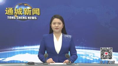 视频-【盘点2024•通城这一年】通城县招商和投资促进中心：“链”上发力招商 产业发展提速 