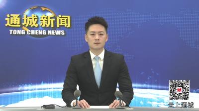 视频-通城县人大常委会党组召开2024年度民主生活会