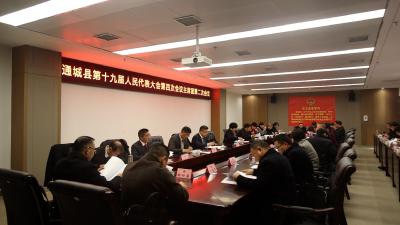 【聚焦两会】通城县第十九届人民代表大会第四次会议主席团举行第二次会议