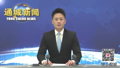 视频-通城县委常委会2025年第2次会议召开