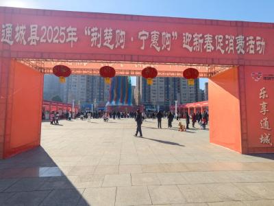 通城县市场监管局：全力护航2025年“荆楚购·宁惠购”迎新春促消费活动
