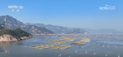 各地市场红红火火“旺”起来 “年货经济”释放强大消费潜力