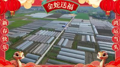 通城县农业农村局向大家拜年啦！