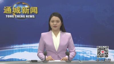 视频-新春观察｜通城：供应足！消费旺！ 