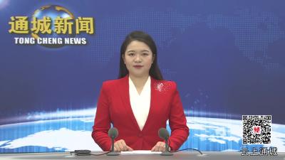 视频-2025年第1次通城县政府常务会议召开 