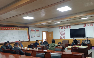 通城县马港镇举行“迎新春 话发展”企业家座谈会