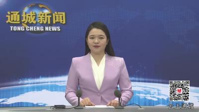 视频-安芯美科技：优化生产工艺 提升市场份额 