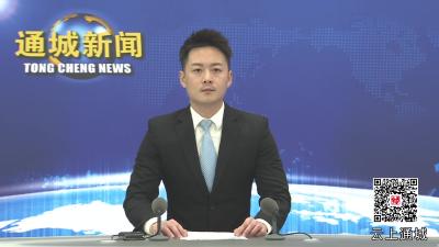 视频-通城县2025年第一次安委会全会暨森林防灭火工作会议召开