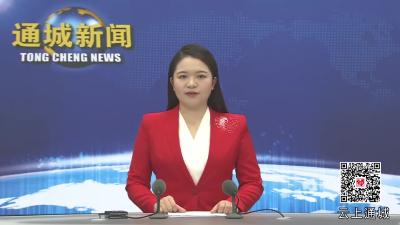 视频-【聚焦两会】通城县第十九届人民代表大会第四次会议举行预备会议 