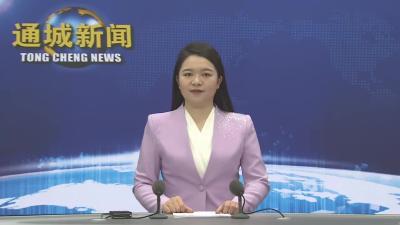 视频-【两会声音】杨修伟：加快打造高端电子元器件生产基地和制造业强县 