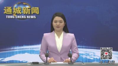 视频-通城县召开2025年城（乡）燃气安全生产专业委员会第一次会议暨燃气安全突出问题整治工作会 