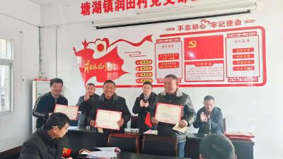 通城县塘湖镇润田村：清洁家园齐动手，乡村焕颜迎新春