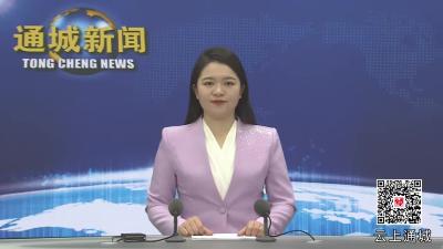 视频-【政府工作报告解读③】通城：聚焦水利发展 构建水生态保护与修复新模式 