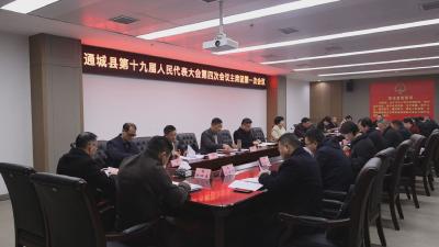 【聚焦两会】通城县第十九届人民代表大会第四次会议主席团举行第一次会议