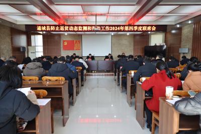 通城县召开防止返贫动态监测和帮扶工作2024年第四季度联席会