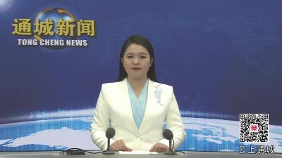 视频-迎新春 送温暖  通城县领导开展春节走访慰问活动 