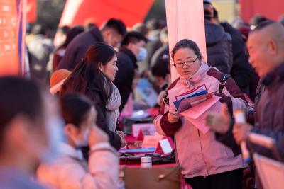 2025年如何稳就业促增收？权威部门解答就业、收入热点问题