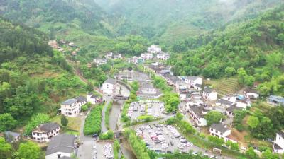视频-2025年春节假期 通城接待游客21.95