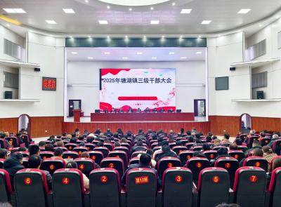 【落实全县三级干部大会精神】通城县塘湖镇：强化支点意识 奋力担当作为 努力以一域之光为全局添彩