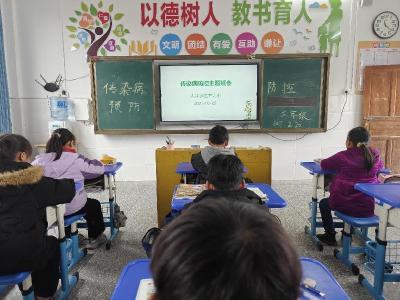 通城县大坪乡达丰完小开展“预防传染病，共创健康校园”主题教育活动