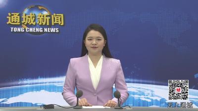 视频-通城城发集团：全面总结2024年成绩 谋划未来发展新篇章