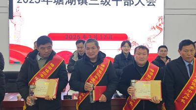 通城县塘湖镇：激发自治活力  共建美丽乡村